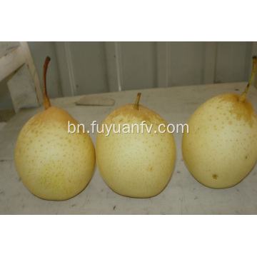 মিষ্টি তাজা YA PEAR